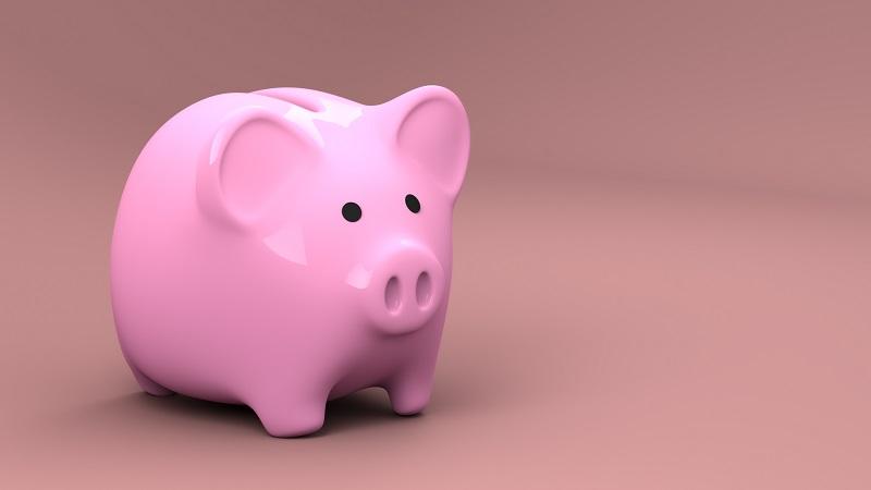 An image of a piggy bank
